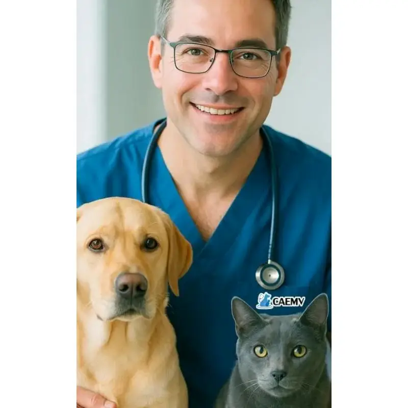 Clínica veterinária de cães e gatos