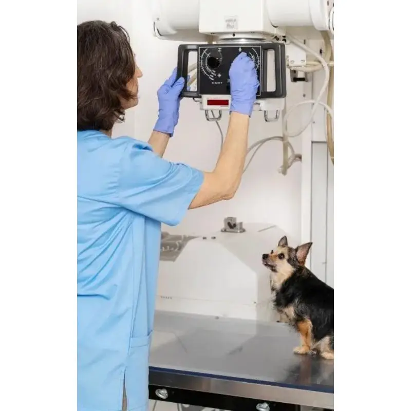 Clínica veterinária para raio x