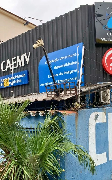 Pronto socorro para cachorro em Engenho Novo